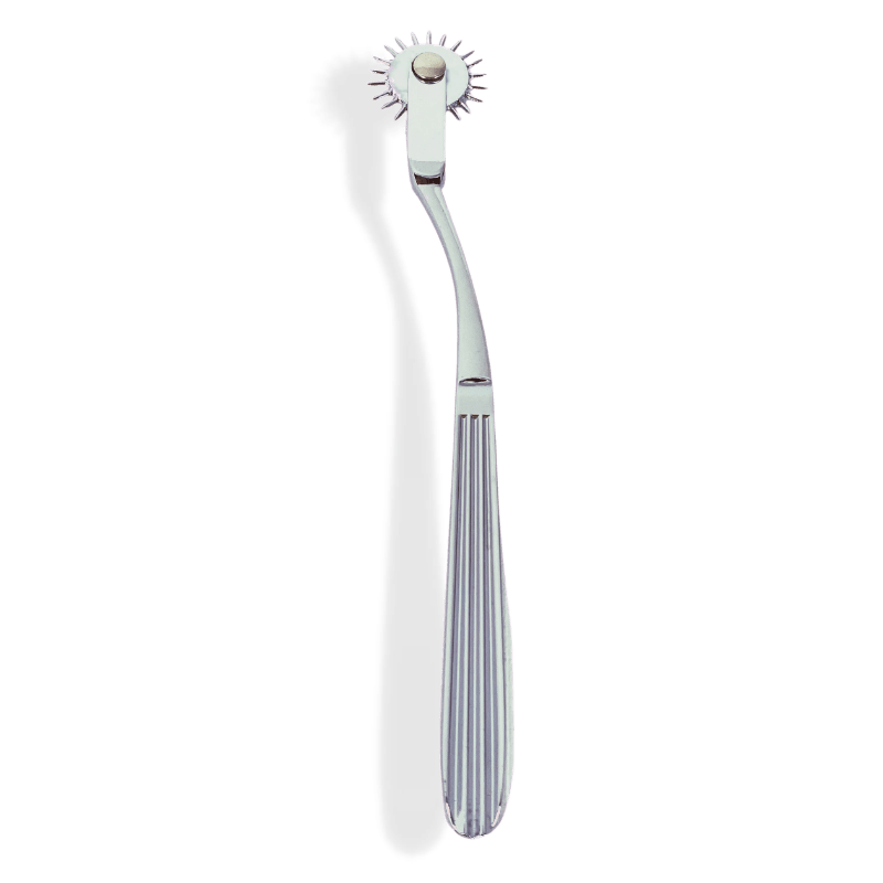BDSM Pinwheel Sex Toy - Wartenberg wheel for Sensation Play| VforVibes